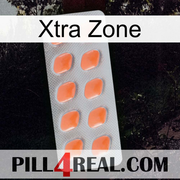 Xtra Zone 26.jpg